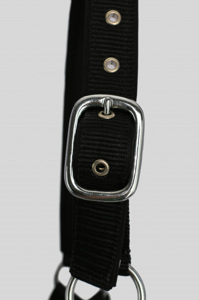 Halfter-Set "TR II" mit Strick