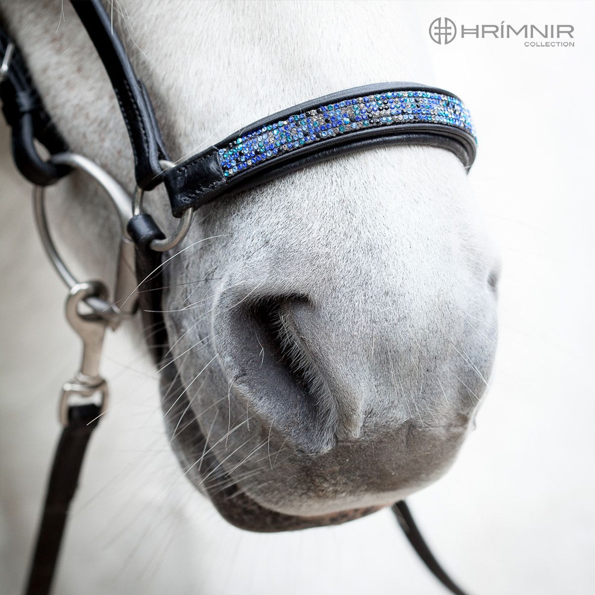 Hanoverian Noseband Blue Lagoon by Hrímnir