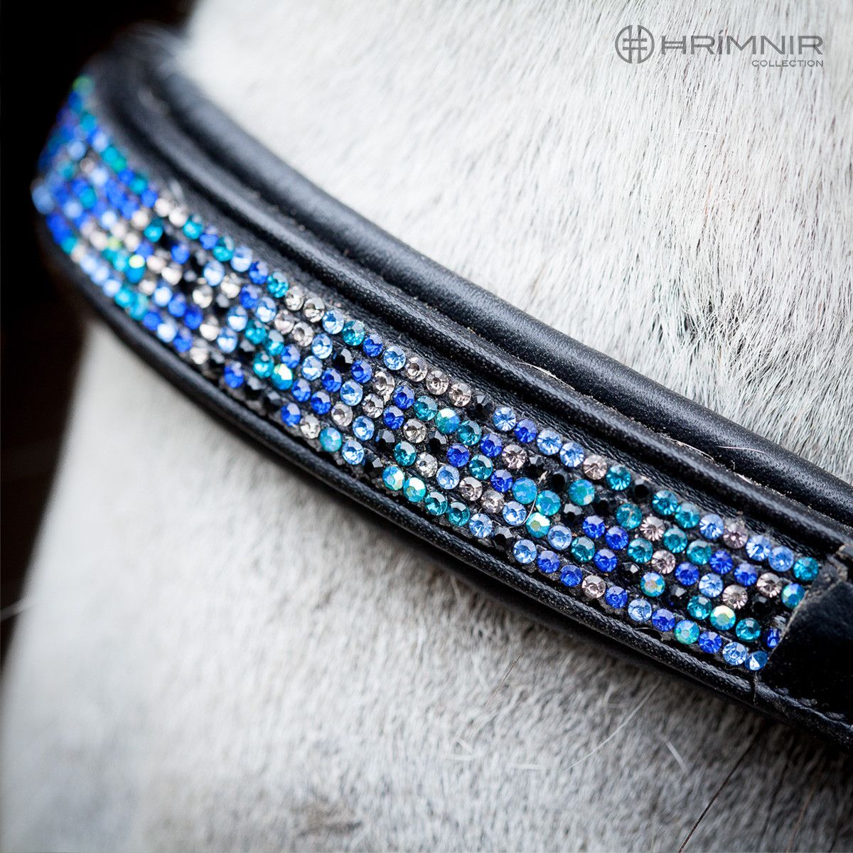 Hanoverian Noseband Blue Lagoon by Hrímnir
