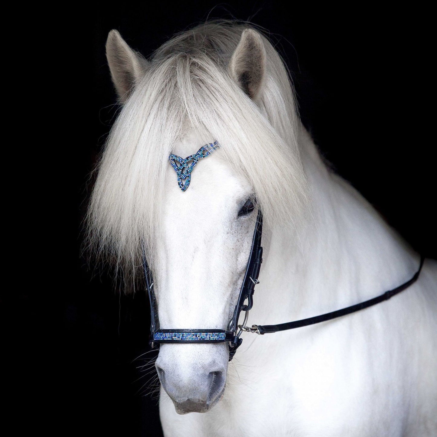 Hanoverian Noseband Blue Lagoon by Hrímnir