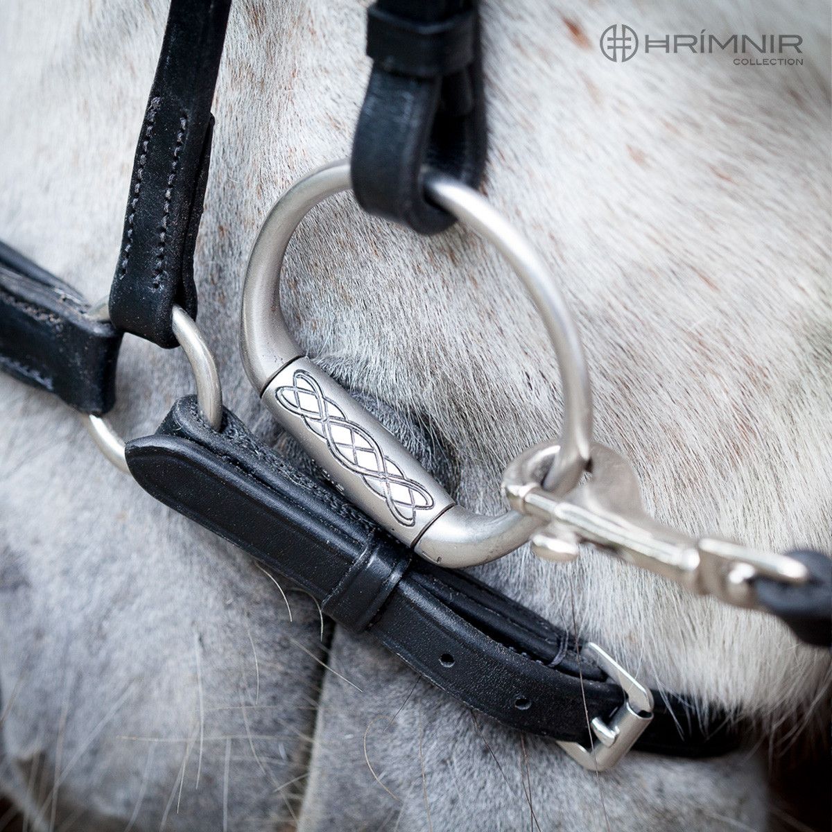 Hanoverian Noseband Fire and Ice by Hrímnir