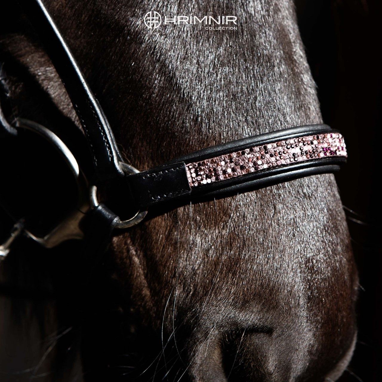 Hanoverian Noseband Sunset Pink by Hrímnir