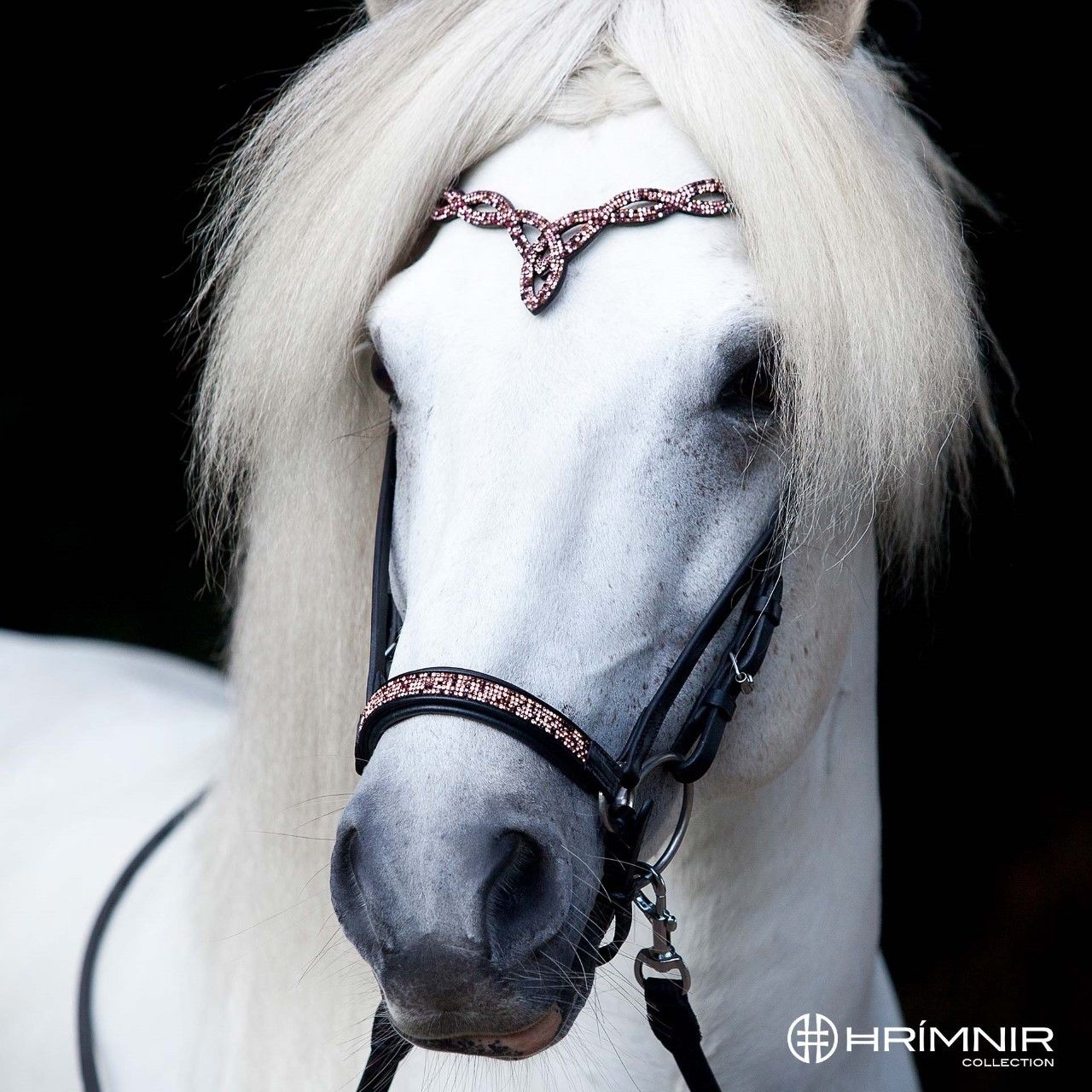 Hanoverian Noseband Sunset Pink by Hrímnir