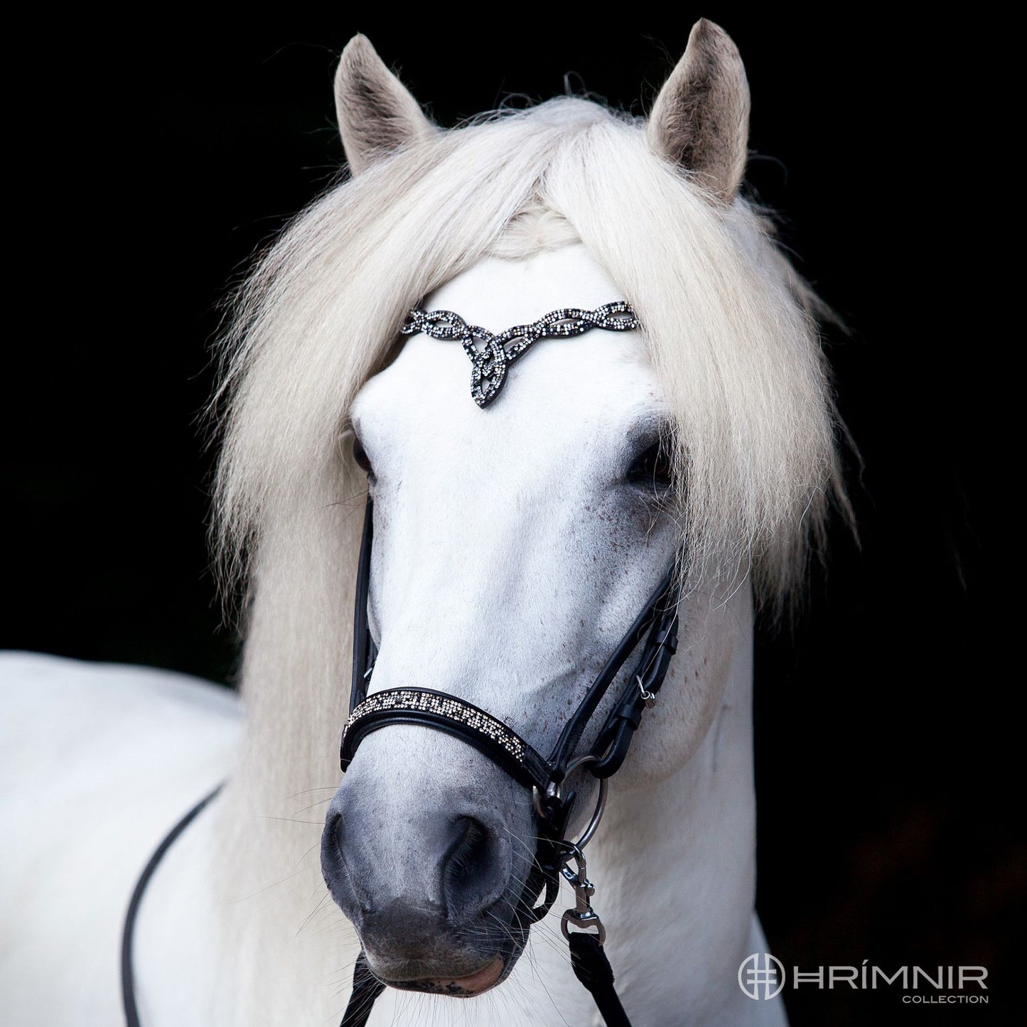 Hanoverian Noseband Fire and Ice by Hrímnir