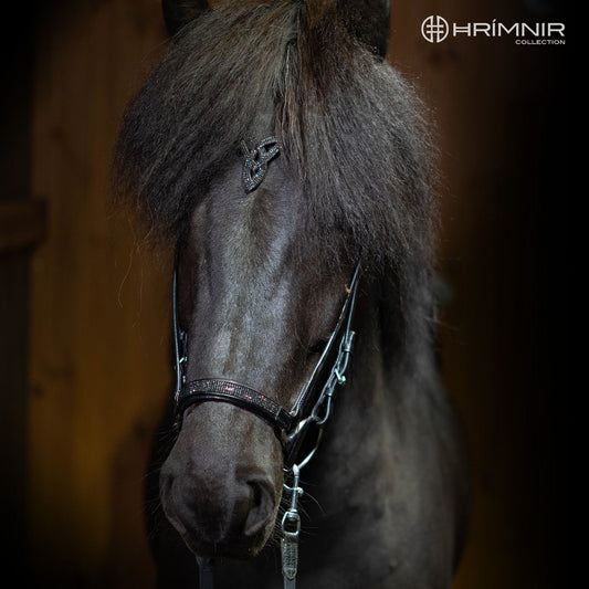 Hanoverian noseband Lava by Hrímnir