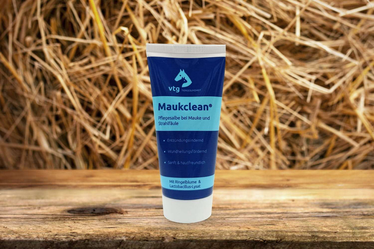 Maukclean Salbe 60ml Tube