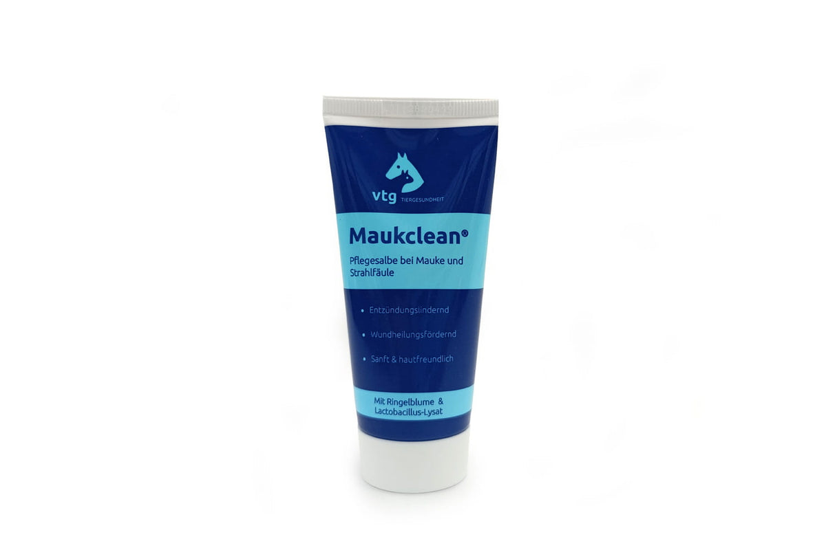 Maukclean Salbe 60ml Tube
