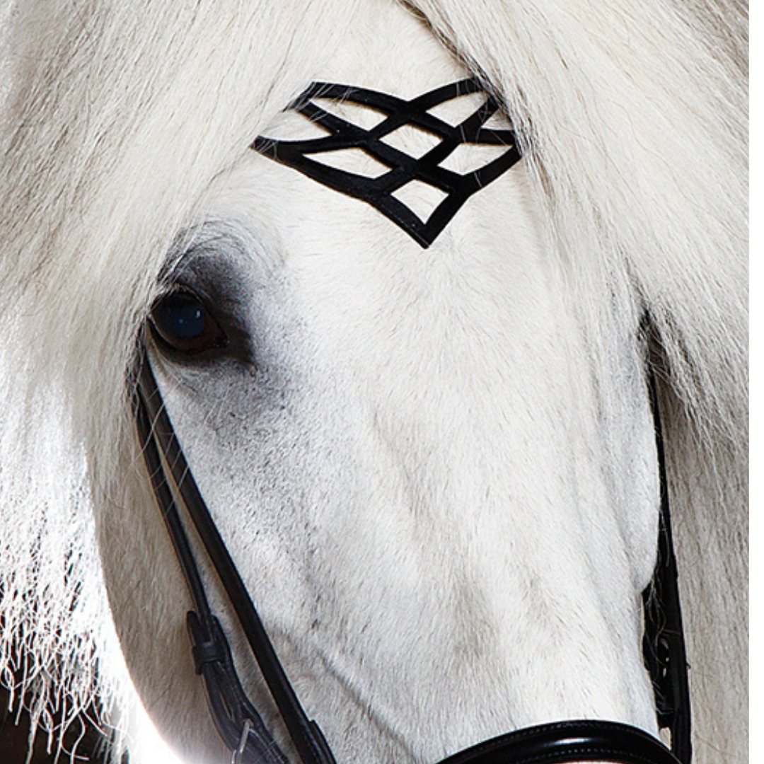 Kopfstück Heritage C von Hrímnir