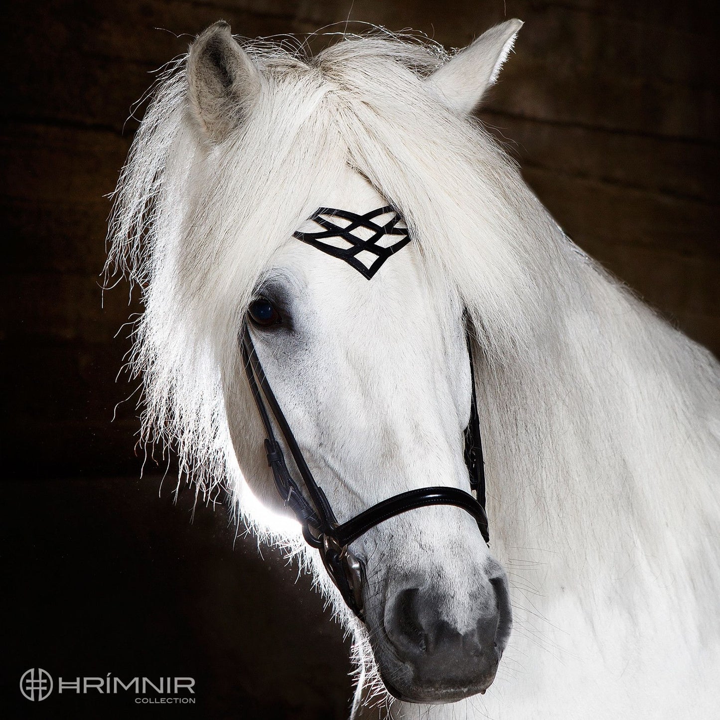 Kopfstück Heritage C von Hrímnir