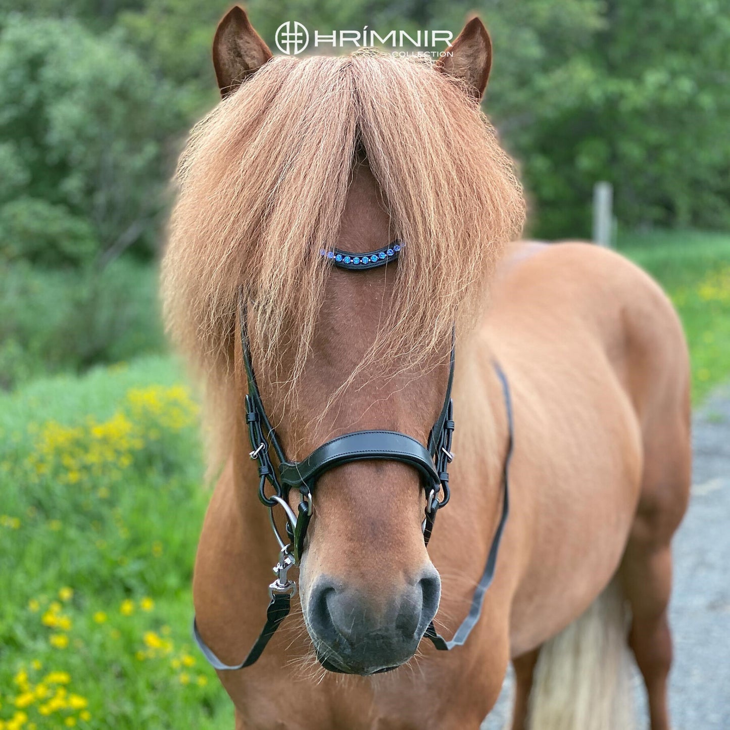 Kopfstück Classic Blue von Hrímnir