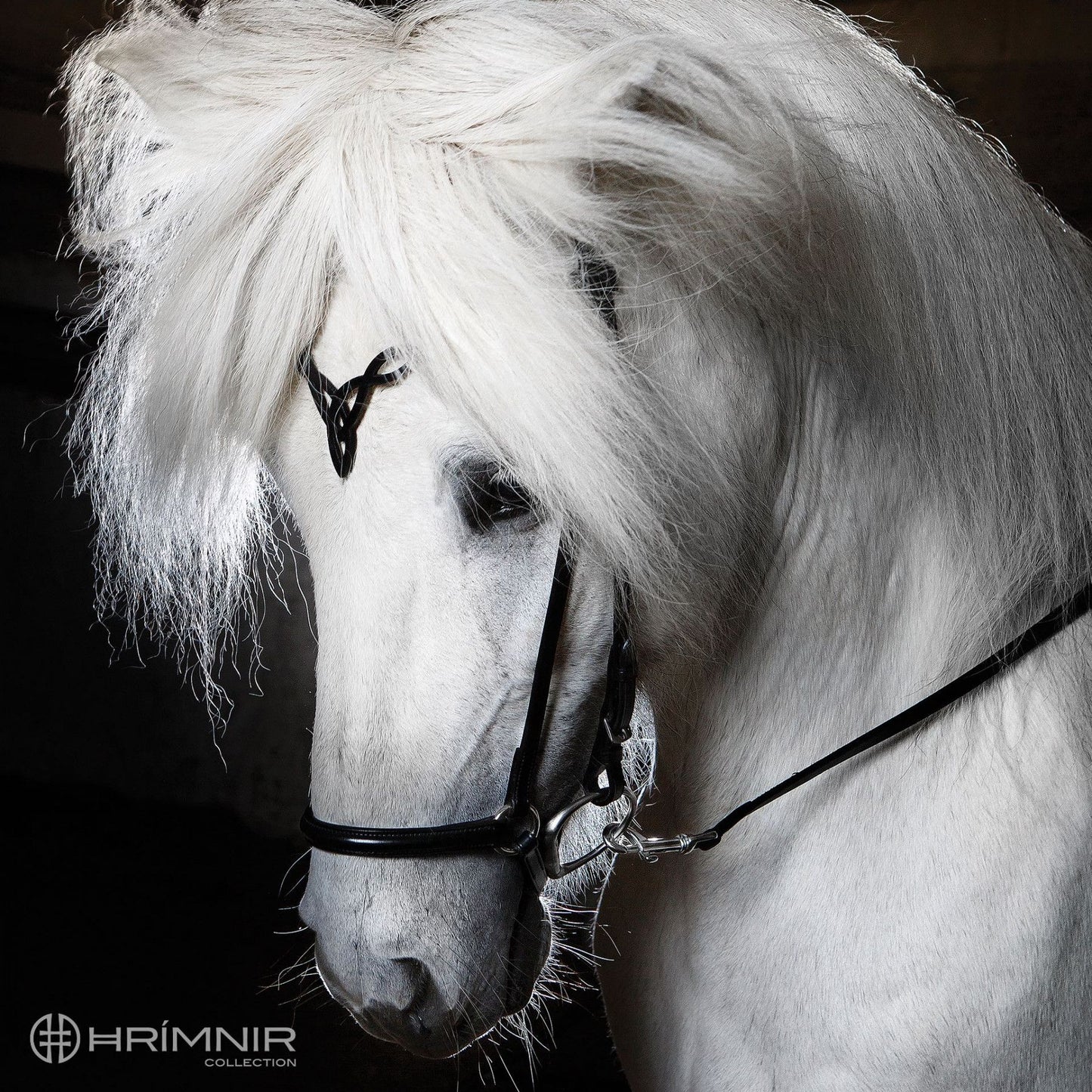 Kopfstück Heritage D von Hrímnir