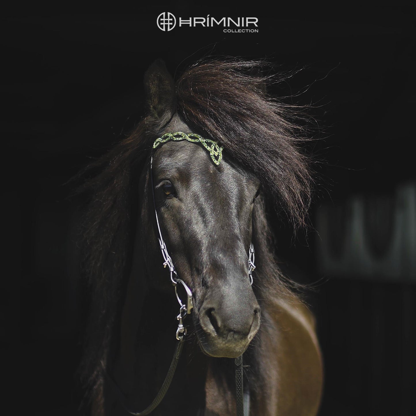 Kopfstück Heritage - Aurora von Hrímnir