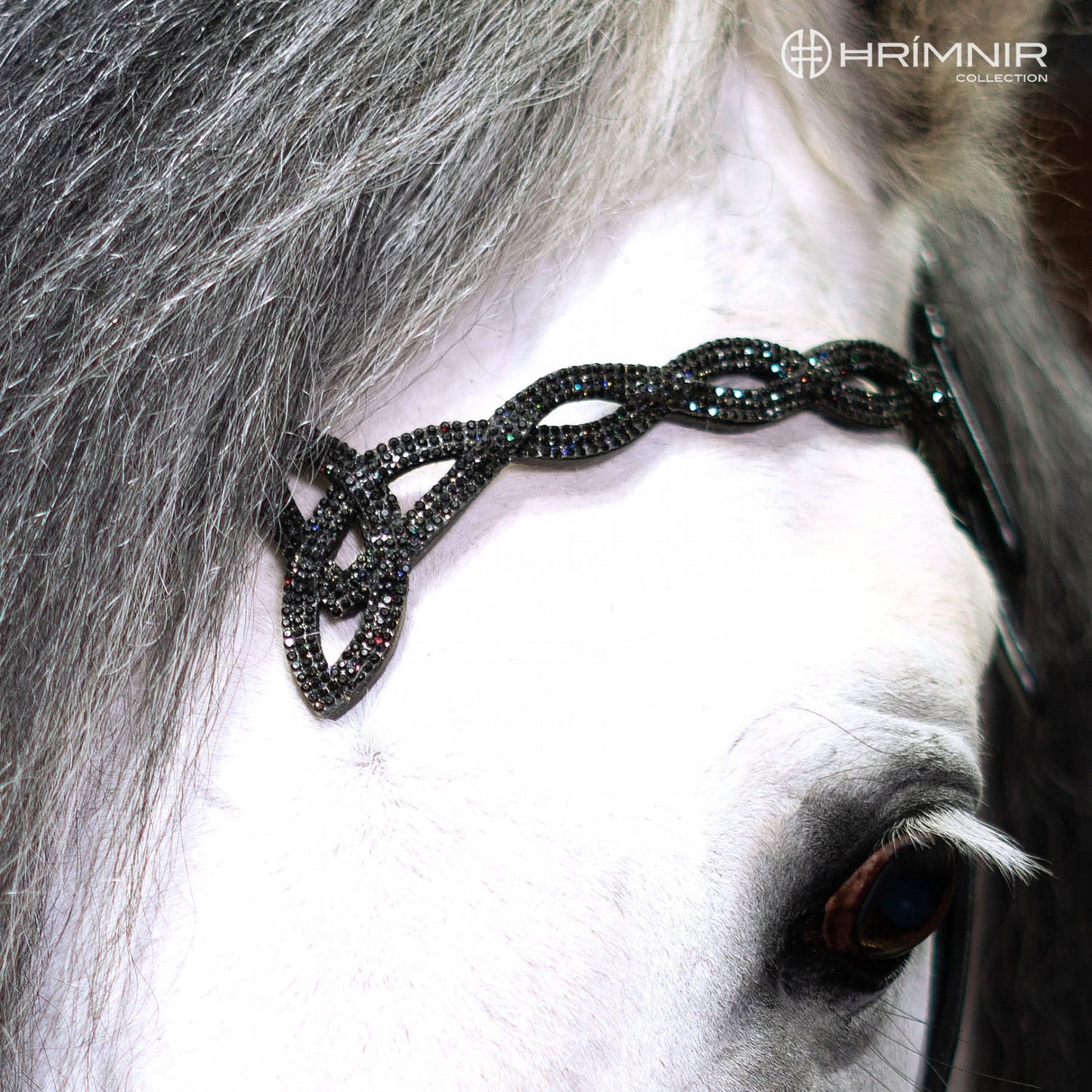 Kopfstück Heritage H - Lava von Hrímnir