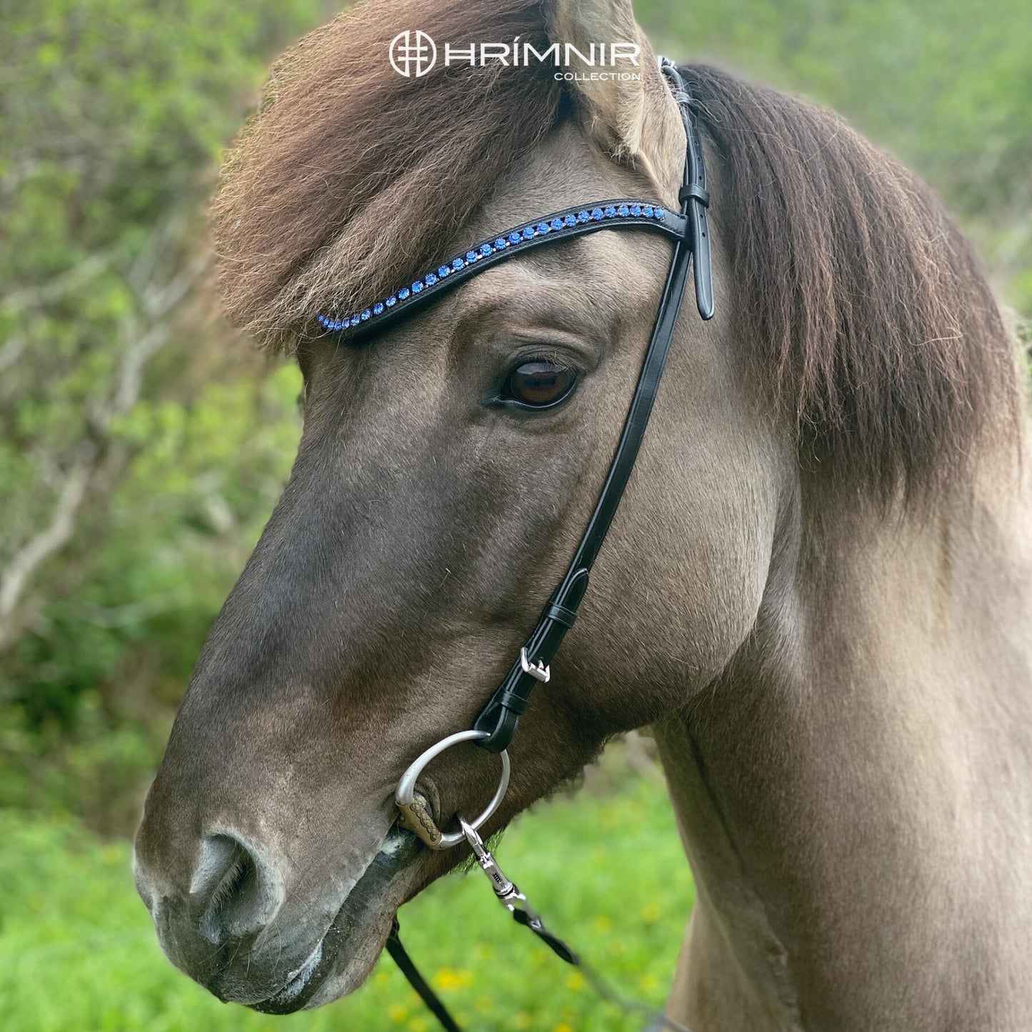 Kopfstück Classic Blue von Hrímnir
