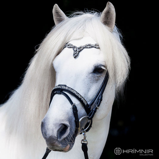 English Combined Noseband Fire and Ice by Hrímnir