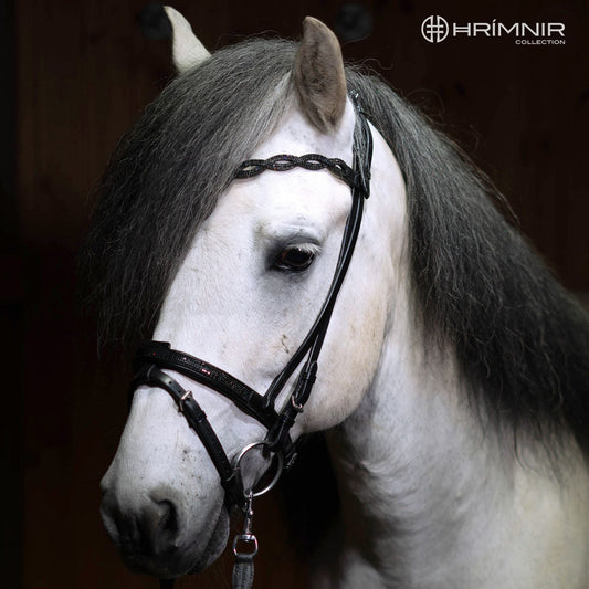English Combined Noseband Lava by Hrímnir