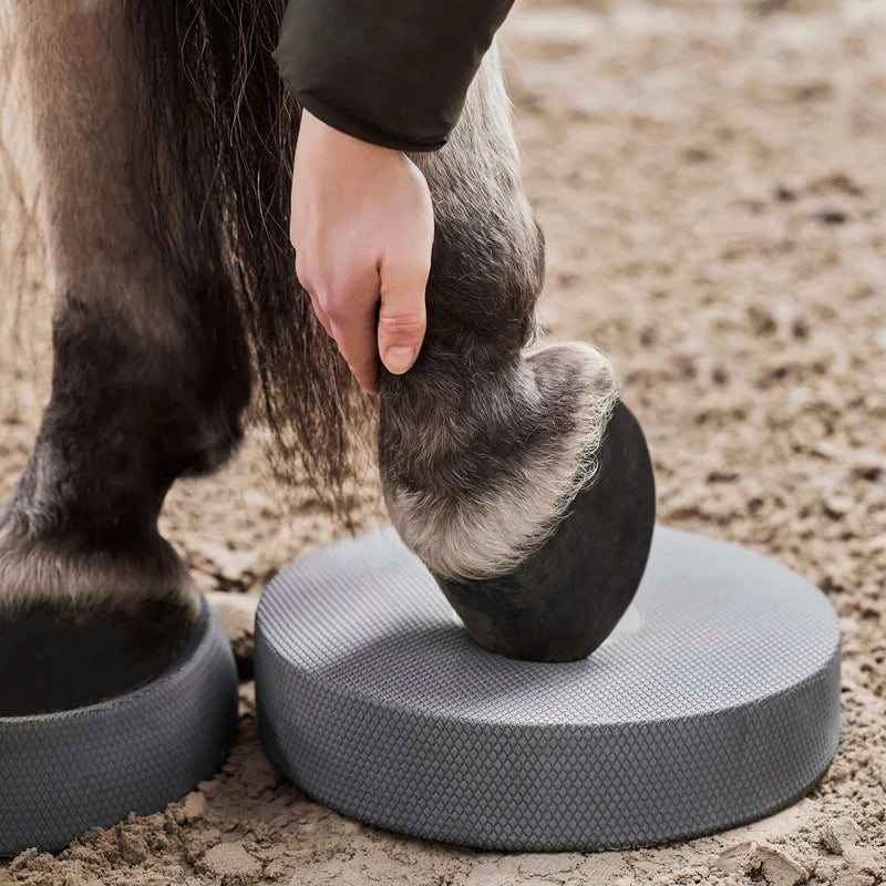 Balance Pads von NØRSHOLM EQUESTRIAN®