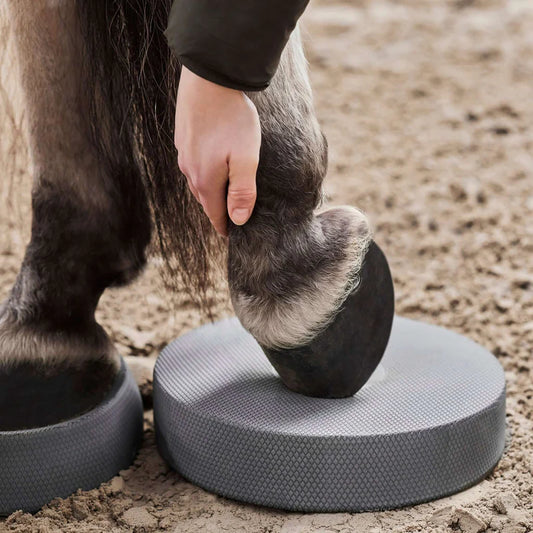 Balance Pads von NØRSHOLM EQUESTRIAN®
