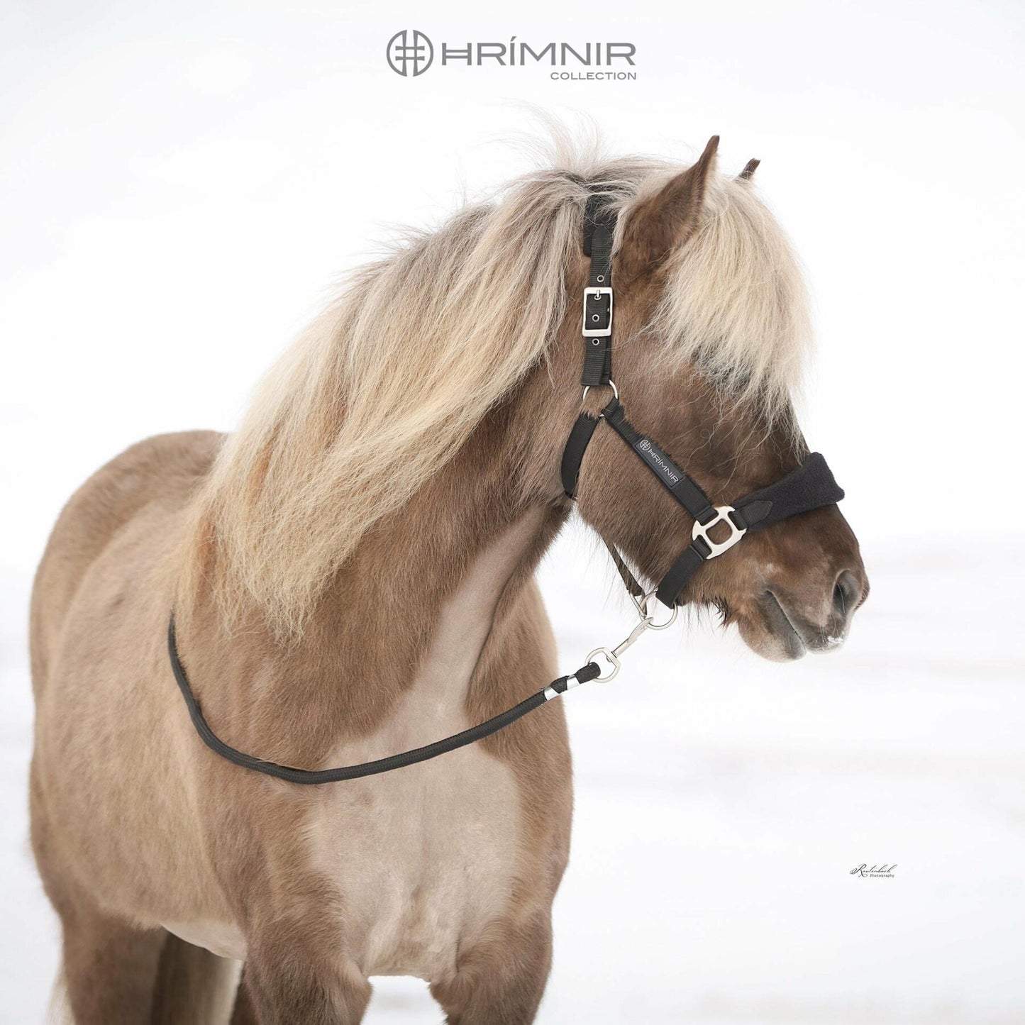 Premium halter set from Hrímnir