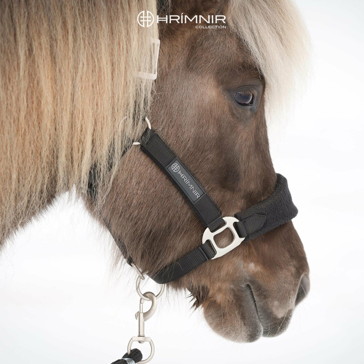 Premium halter set from Hrímnir