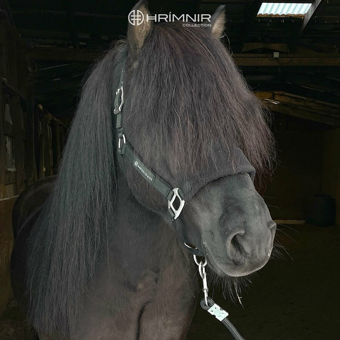 Premium halter set from Hrímnir