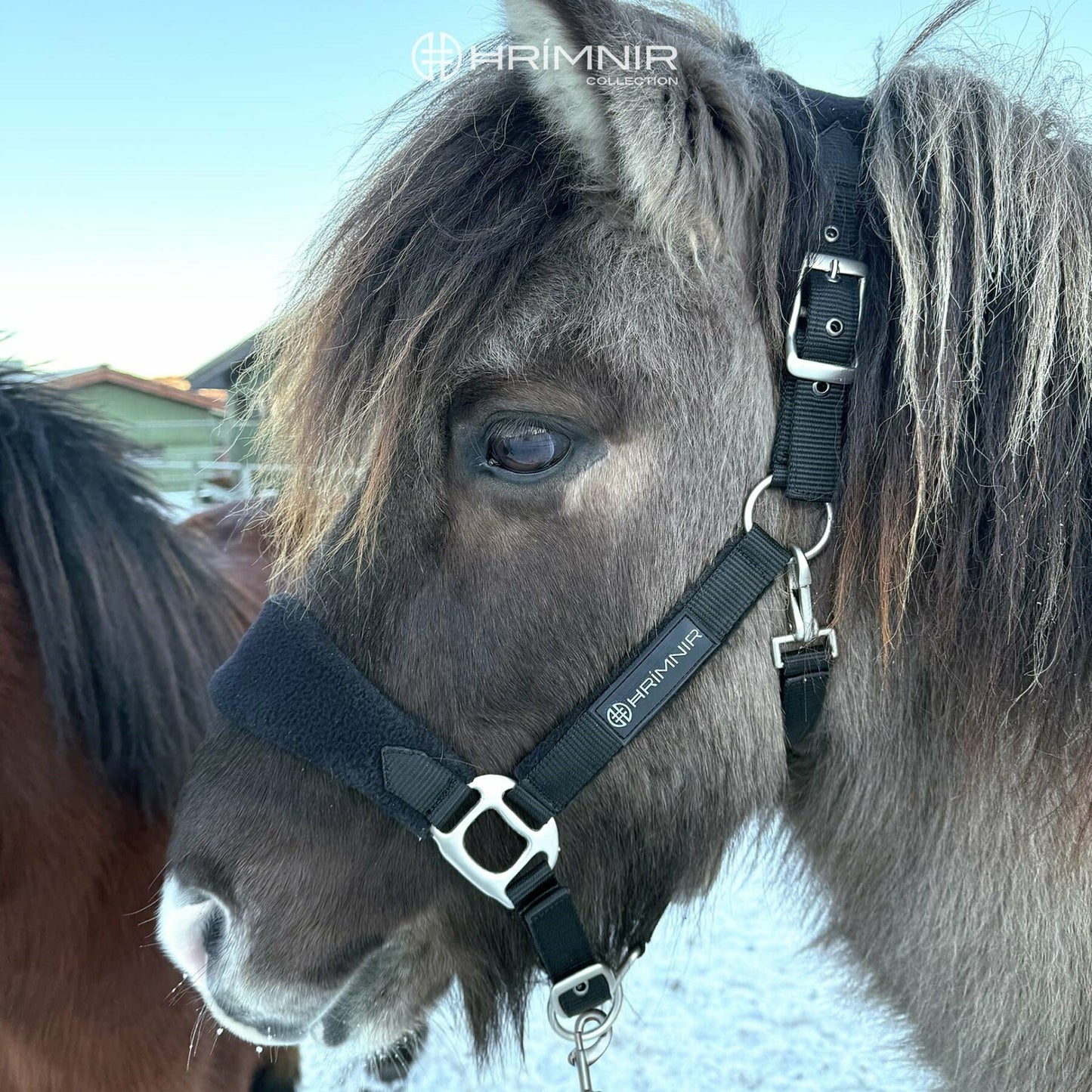 Premium halter set from Hrímnir