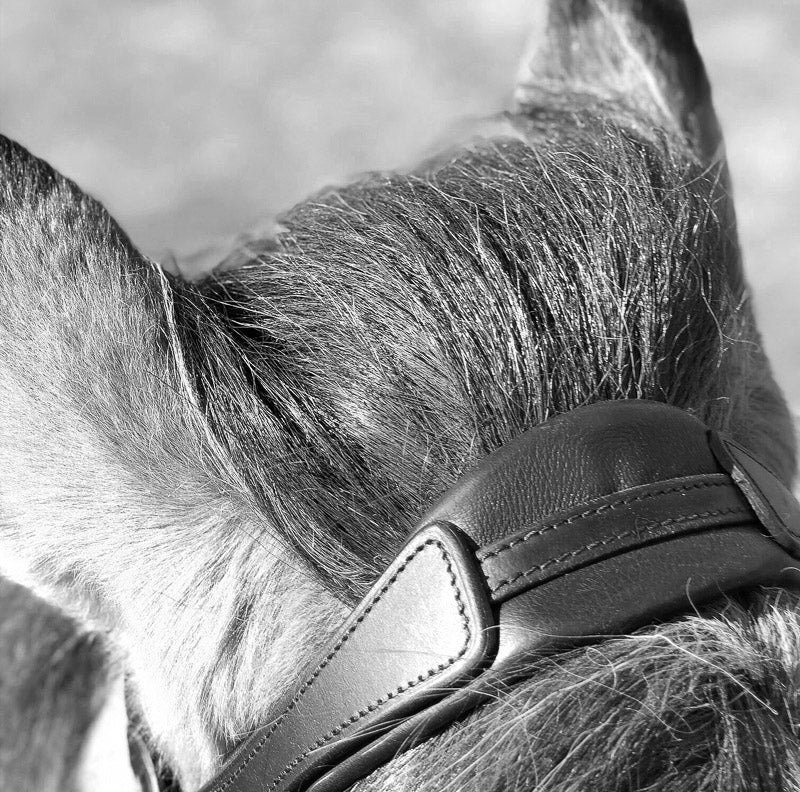 StepByStep Flex headpieces from EQUES 