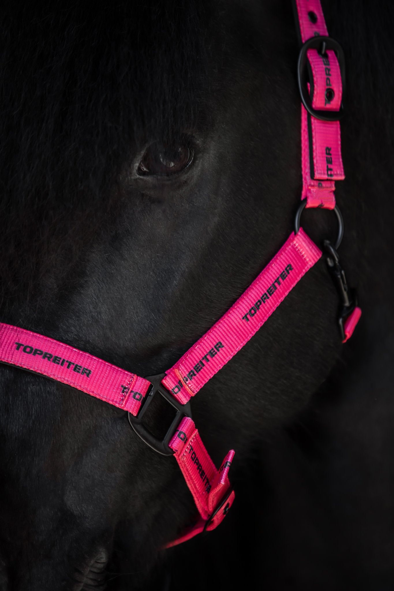 TR Logo Halfter pink