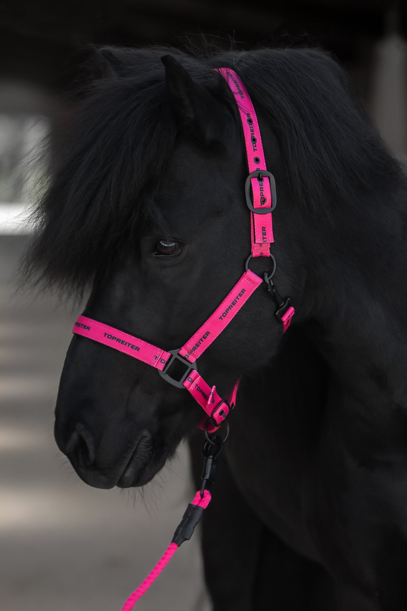TR Logo Halfter pink