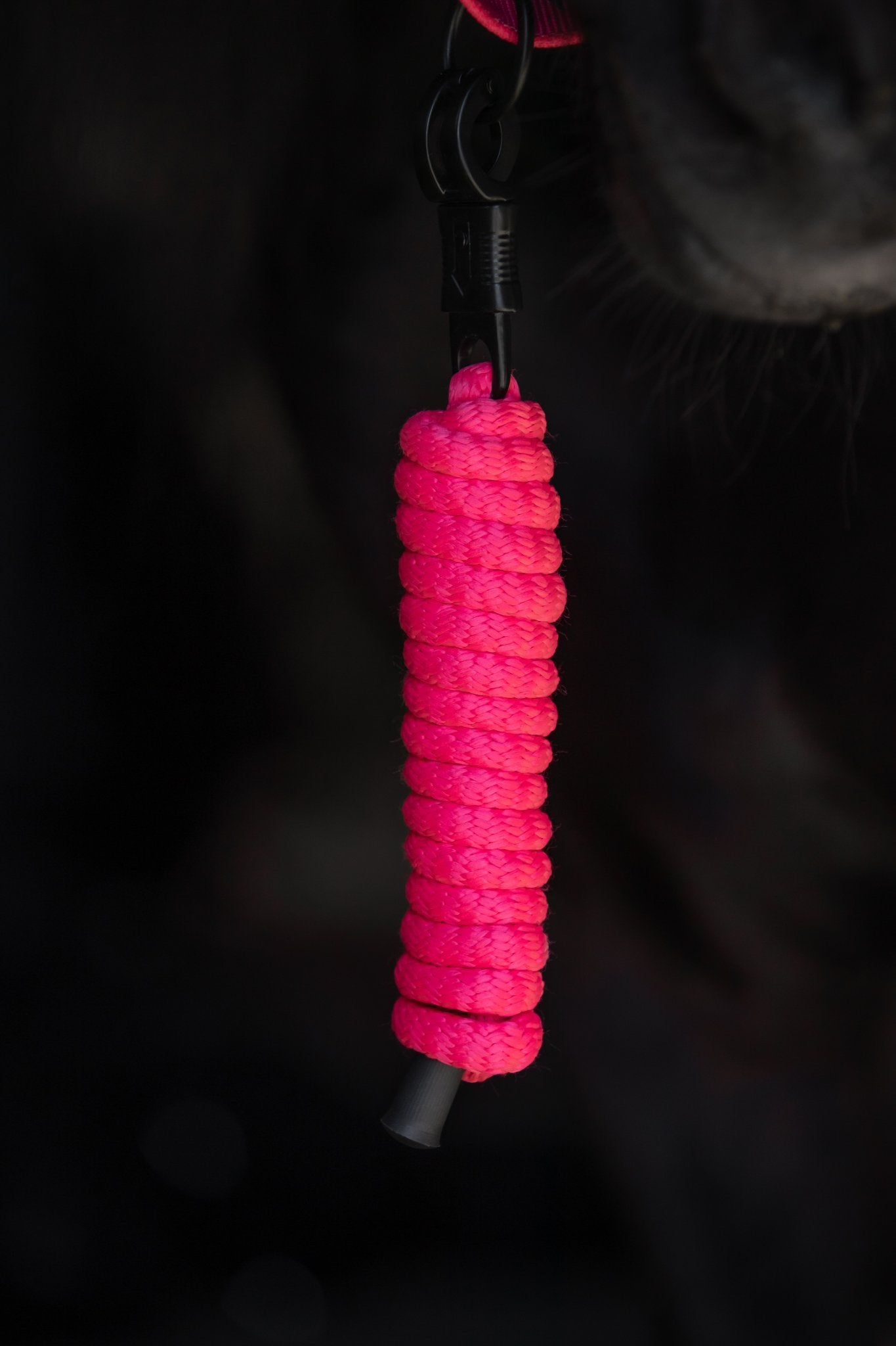 TR Logo Halfter pink