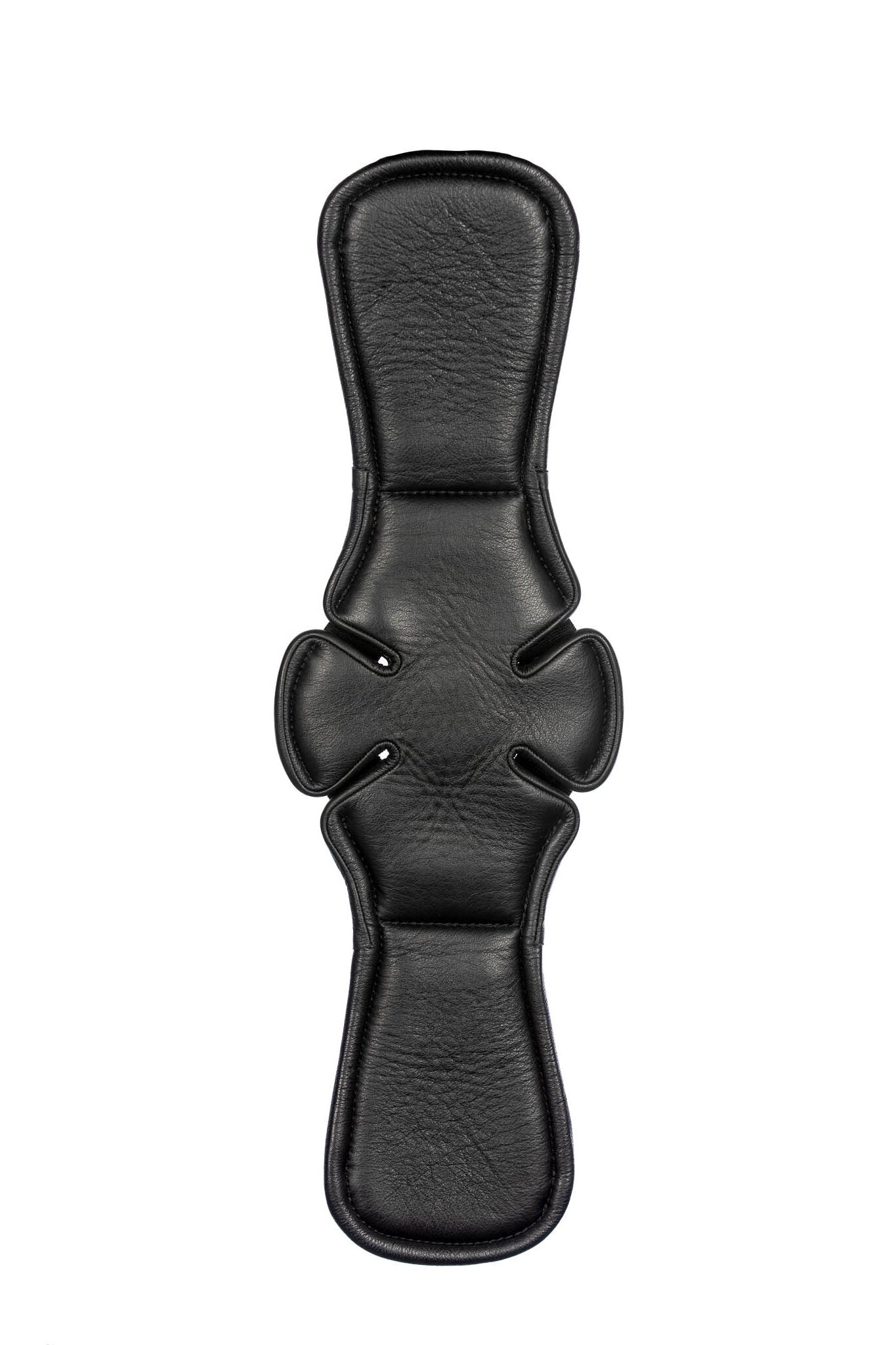 Black Edition Sattelgurt von EQUES