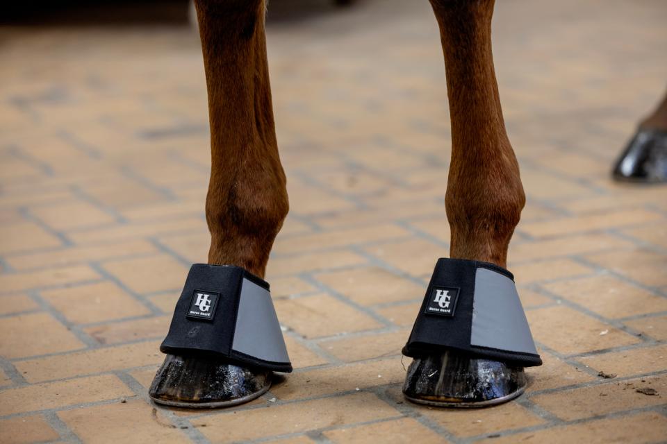 HorseGuard Vollreflektierende Hufglocken