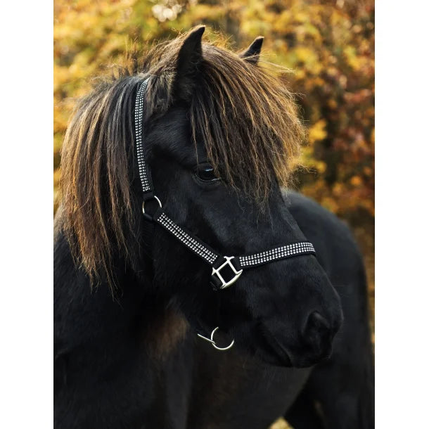 Nylonhalfter mit 4 Reihen Strasssteinen von NORDIC HORSE