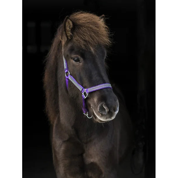 Nylonhalfter mit 4 Reihen Strasssteinen von NORDIC HORSE