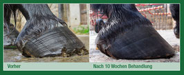 Keralit Huffestiger