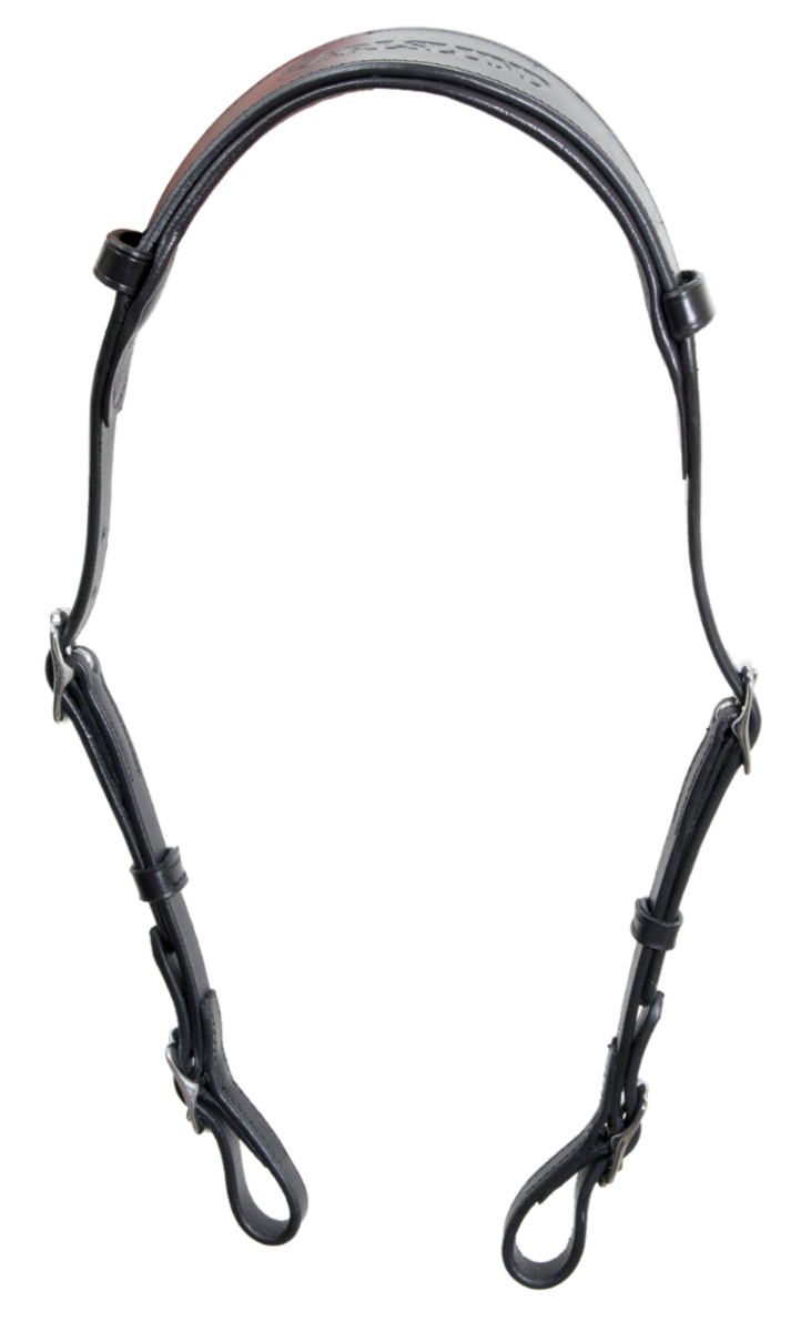 Anatomisches Genickstück, Einzelband von Karlslund