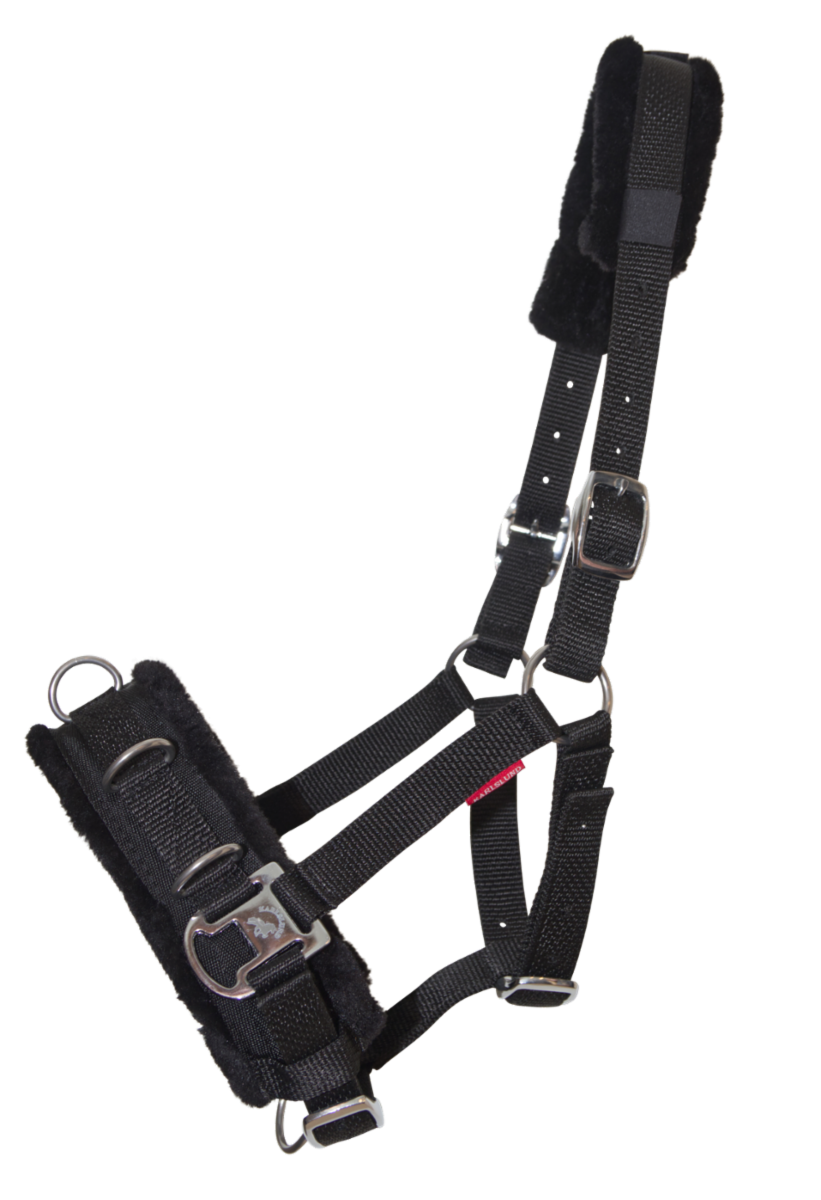 Nylon Kappzaum von Karlslund