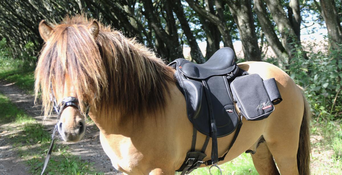 Saddlebags made of nylon material from Karlslund