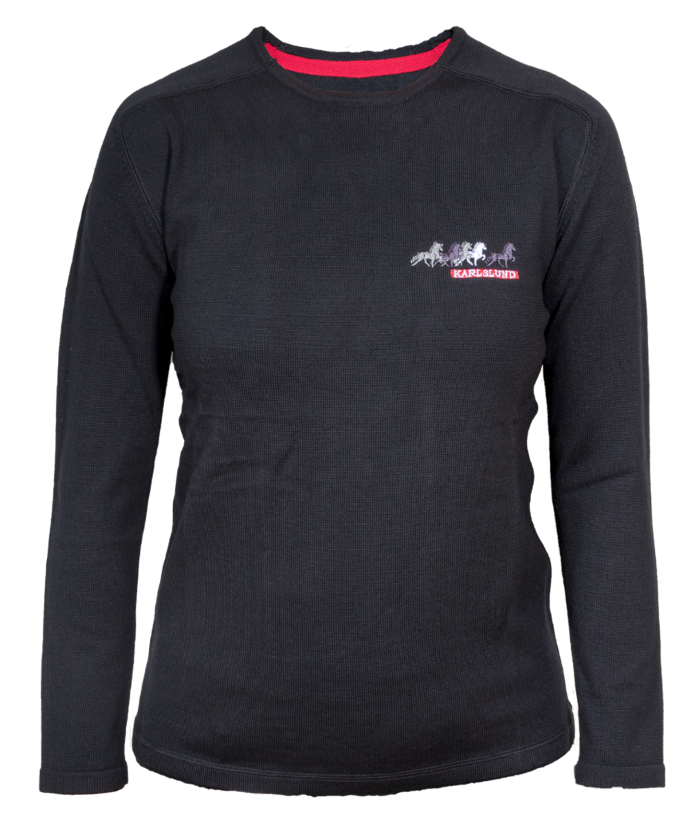 Hekla long-sleeved shirt made of merino wool from Karlslund
