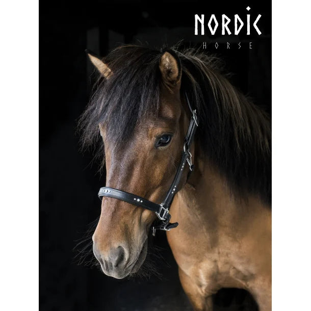 Leather halter with white rhinestones, arranged in groups of three by NORDIC HORSE 