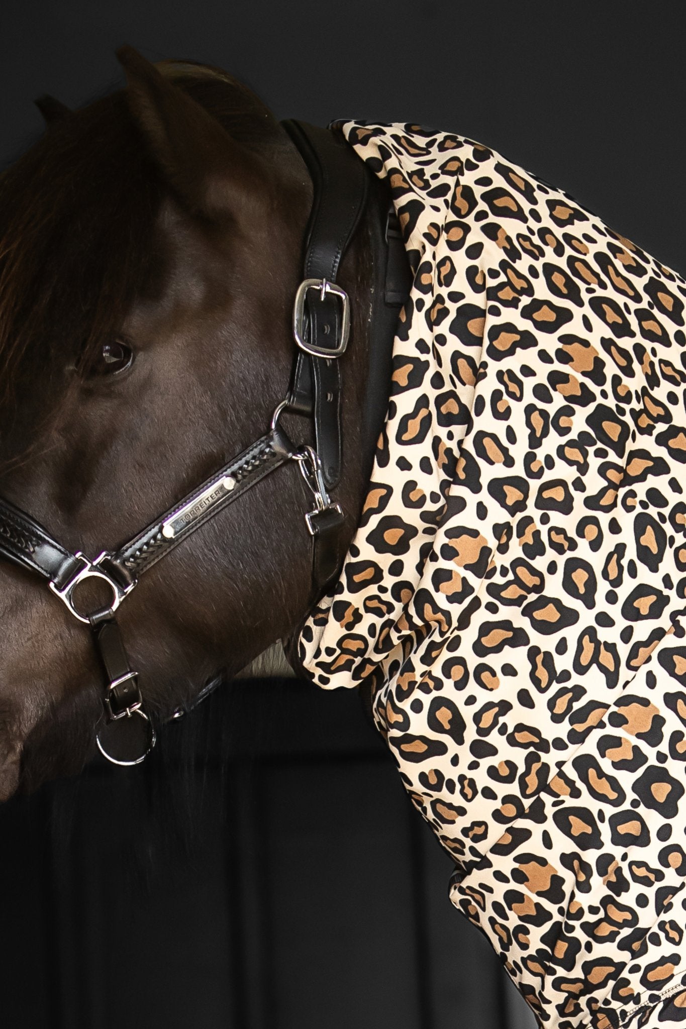 Ekzemerdecke Leo von TOPREITER (Coming soon)
