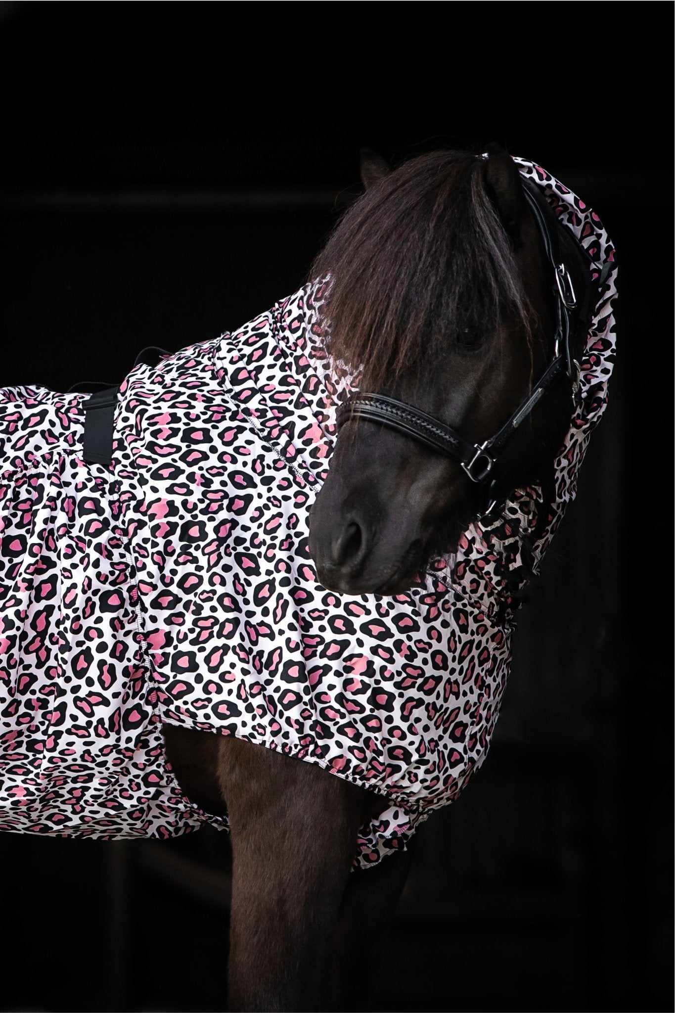 Ekzemerdecke Leo von TOPREITER (Coming soon)