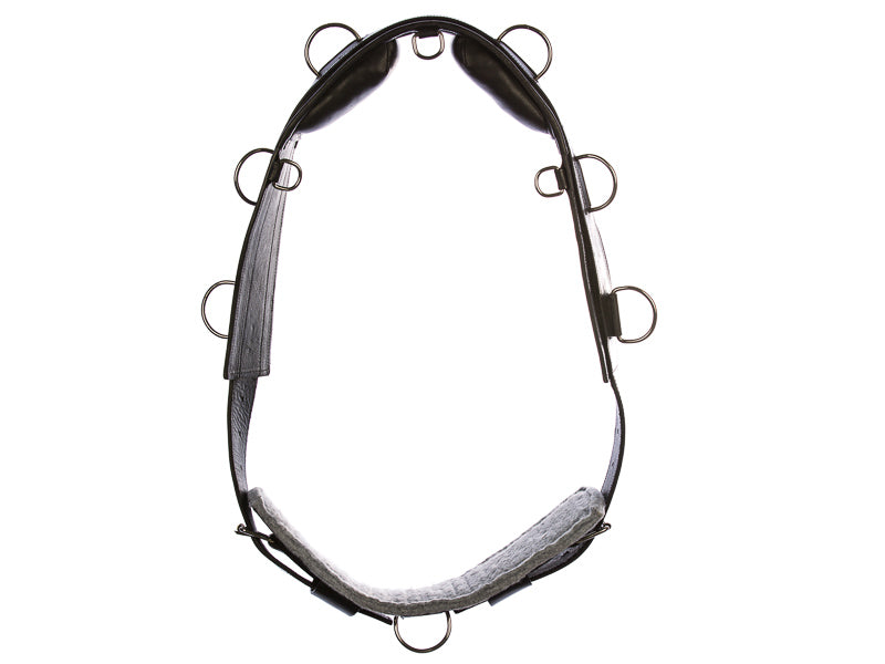 Lunging girdle from EQUES 