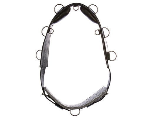 Lunging girdle from EQUES 