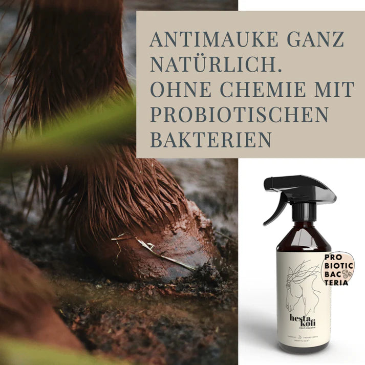 Antimauke von Hestakofi