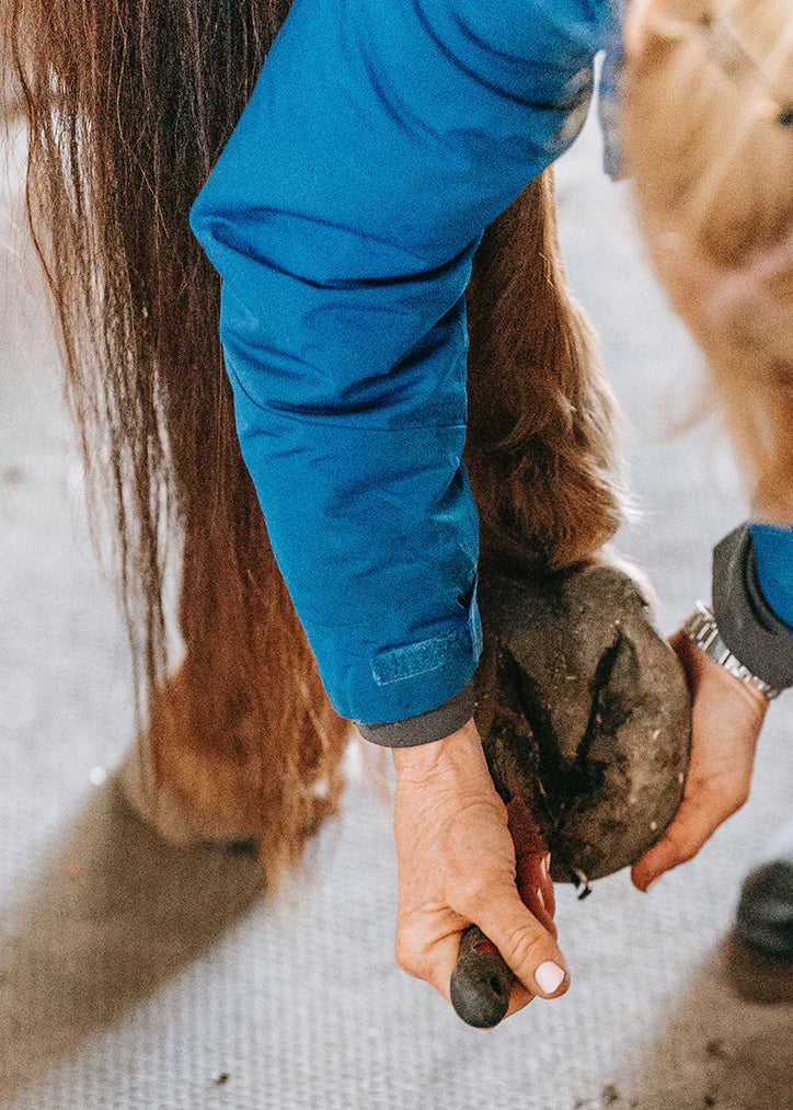 Antimauke von Hestakofi