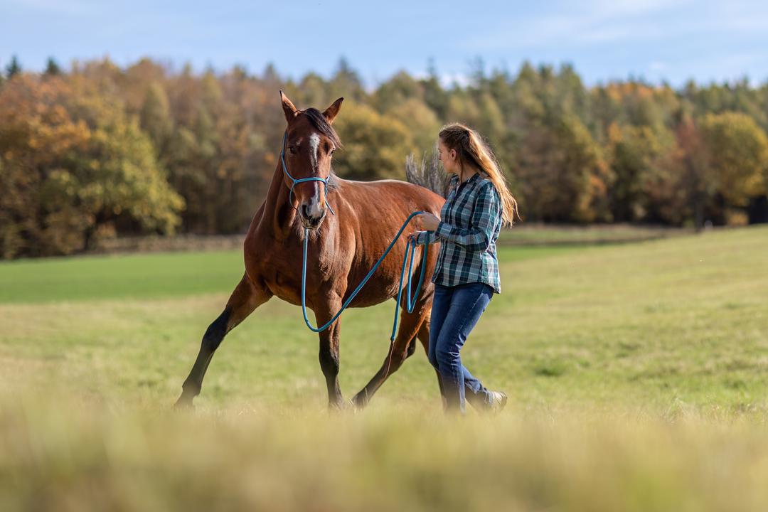 Mentale Kiste – Reitsport-Edition