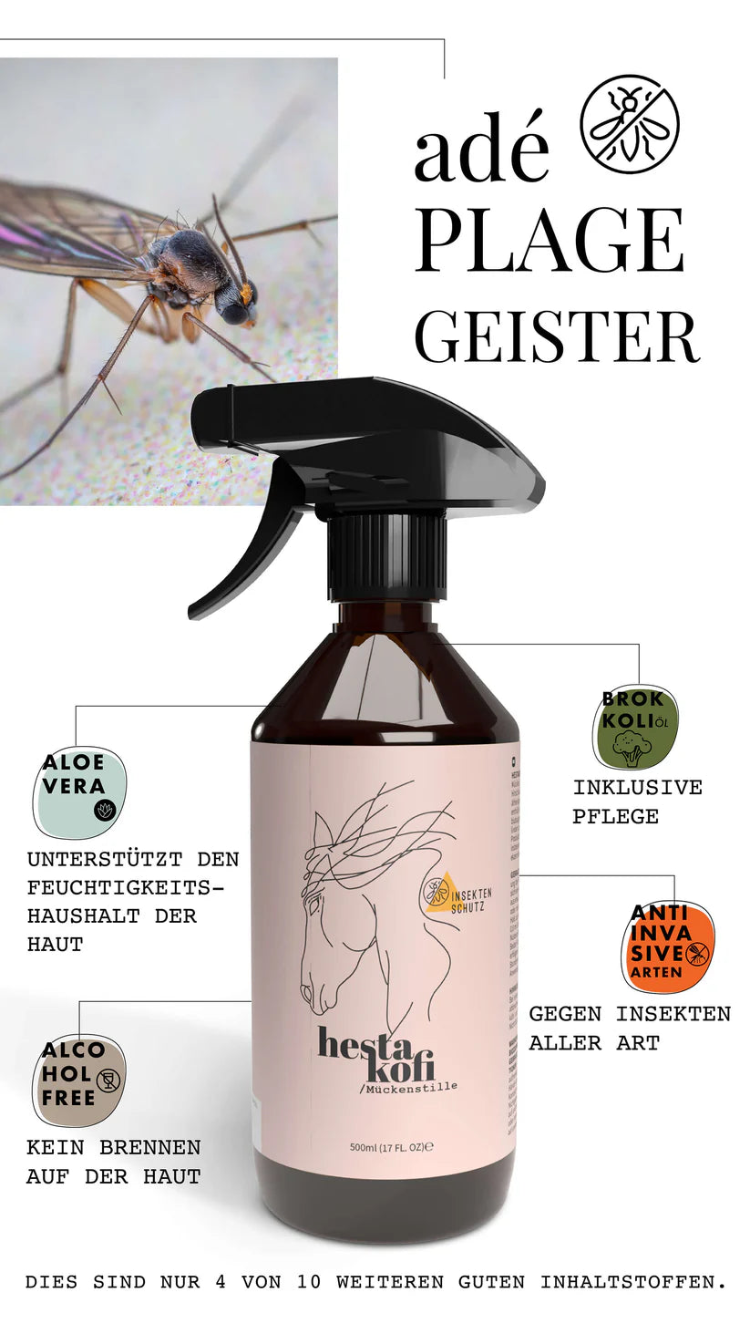 Mückenstille von Hestakofi