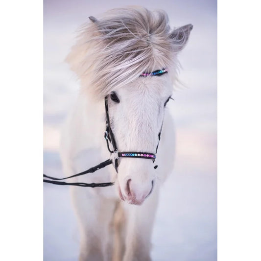Kopfstück Rainbow von Nordic Horse