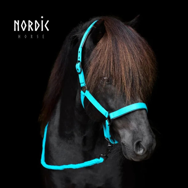 Nylonhalfter türkis von NORDIC HORSE